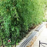 Casa Bamboo Апартаменты